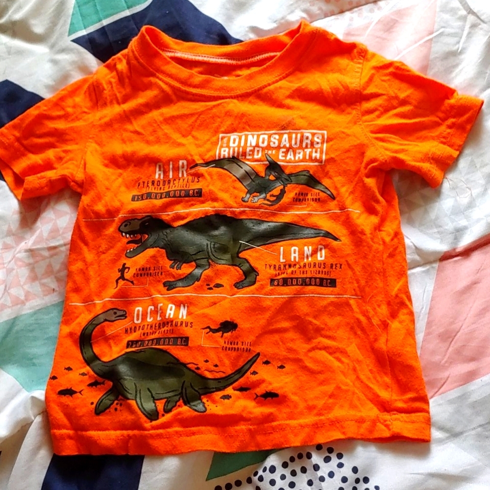 Toddler Boys Dino Shirt